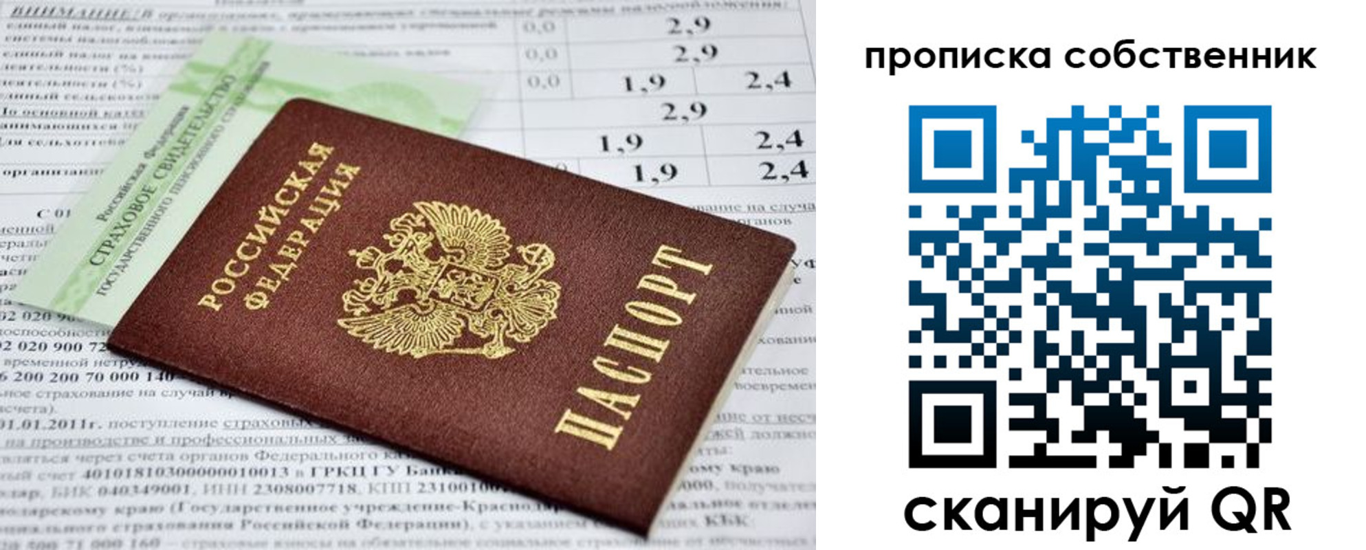 прописка 2025 в Ершове